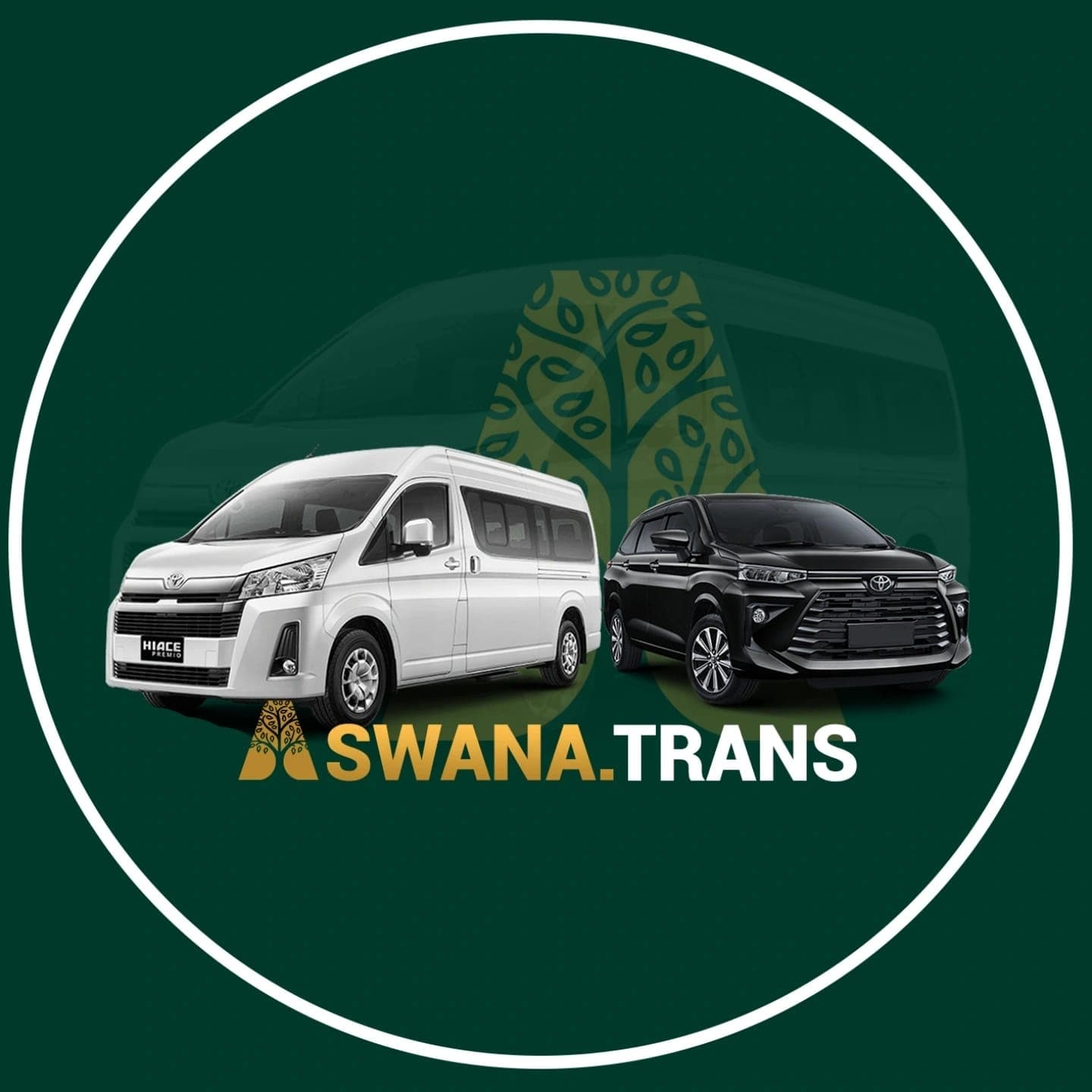 Aswana Trans logo